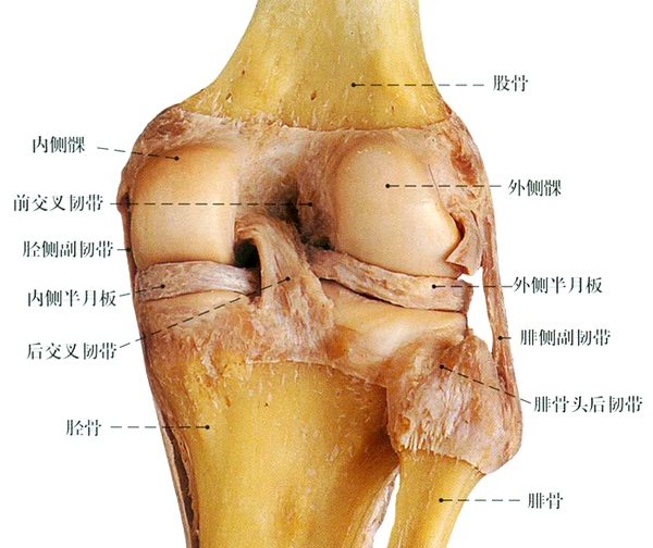 半月板损伤的自我保养